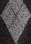 Obrázek (5)